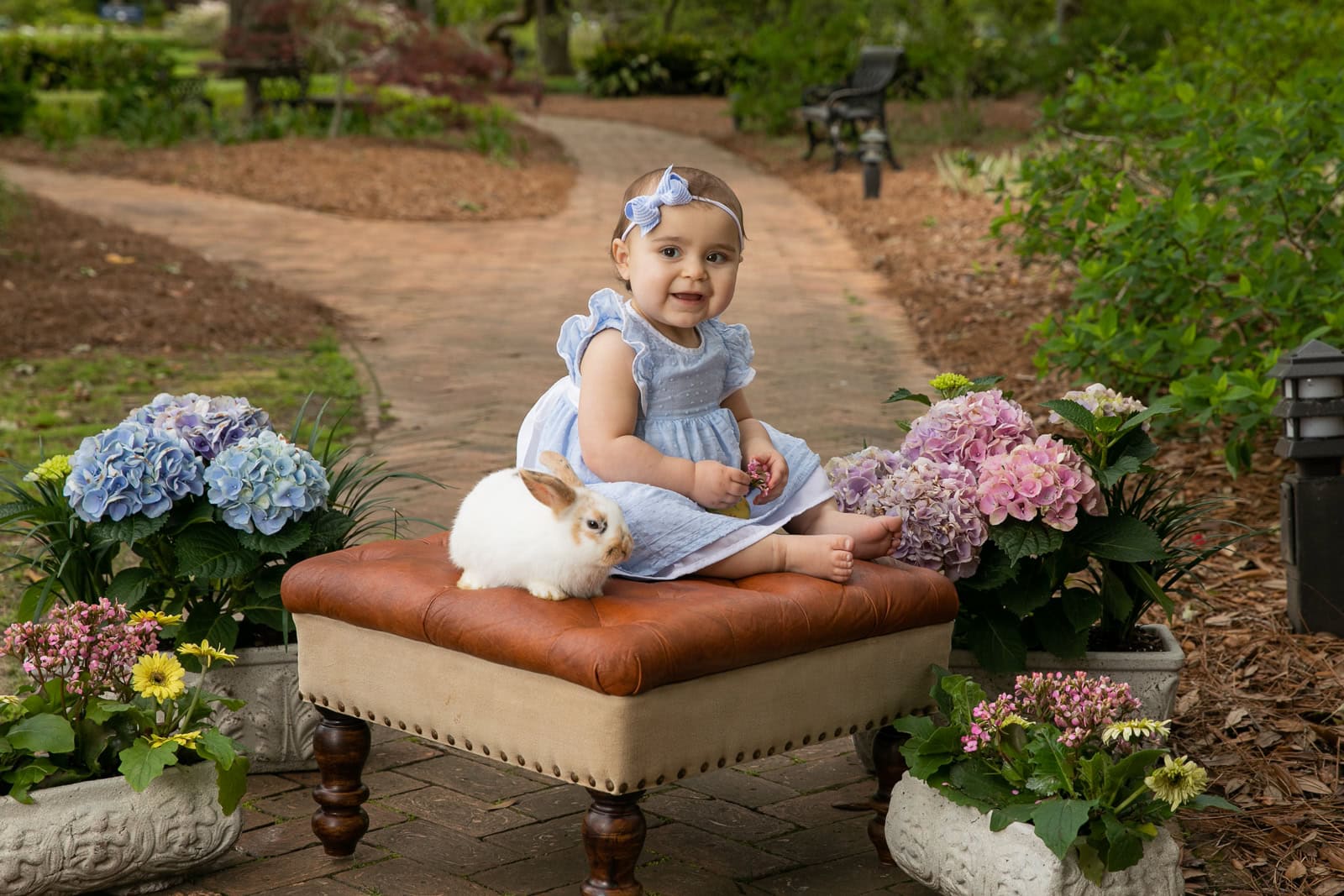Sitting in Santas lap a babys first christmas picture